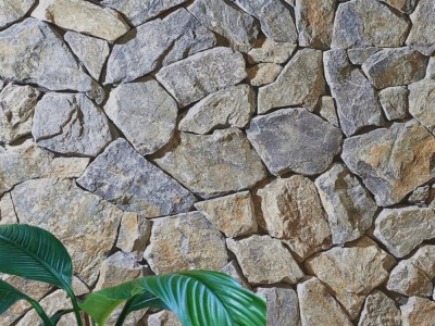 Eyre irregular wall cladding stone