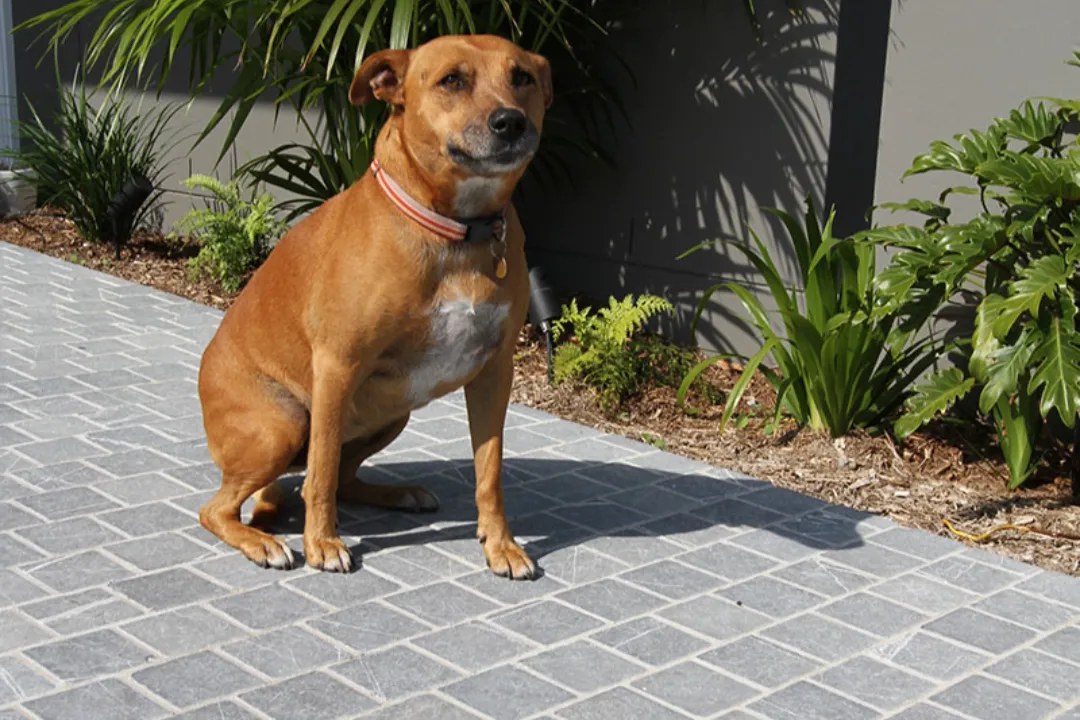 Cobblestone Pavers Brisbane