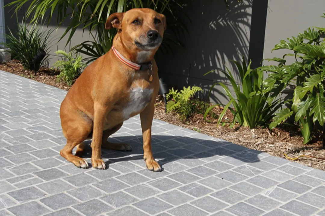 Cobblestone Brisbane